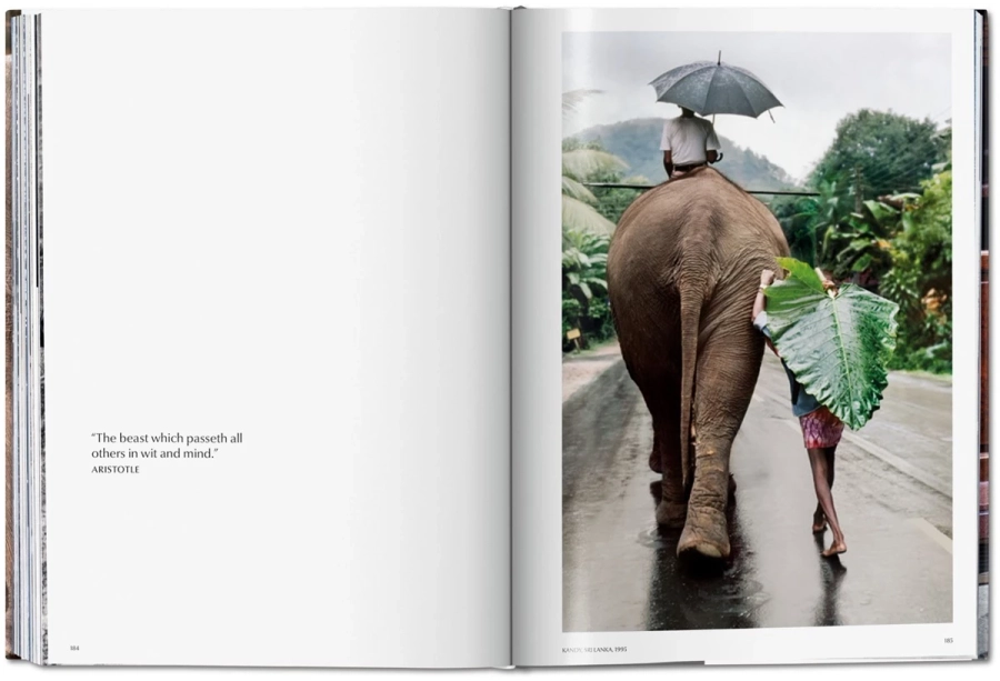 picture 5 Book by Steve McCurry. Animals - Taschen
