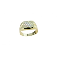 Picture Wonderful boxed men's shield ring