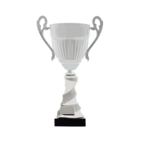 Picture Perfect for a trophy - a cup from the Italian manufacturer - Astra Argenti