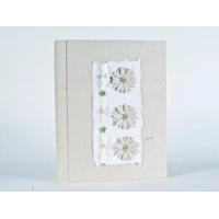 Bild Elegantes Reispapieralbum