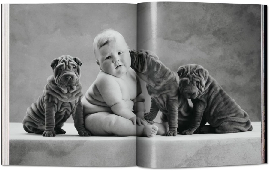 Bild 10 Buch von Anne Geddes. Small World - Taschen