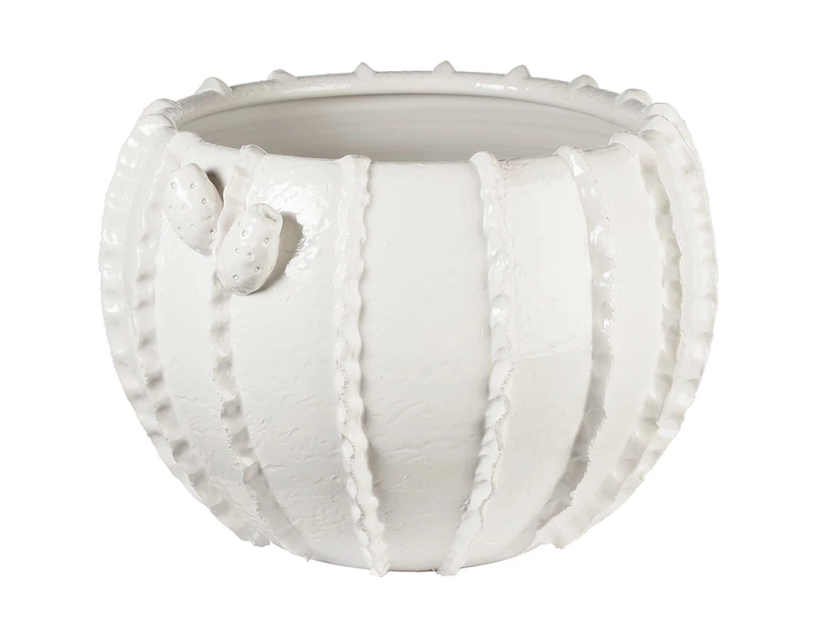 picture 1 A unique white pottery pot - Virginia Casa