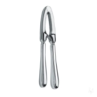 Bild Eleganter silberner Nussknacker - Zaramella Argenti