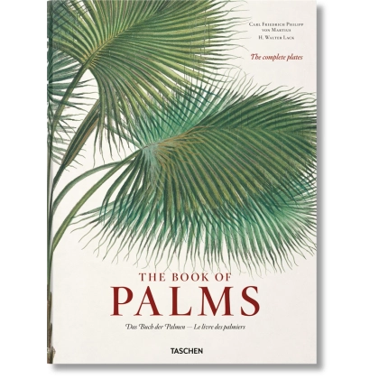 Zdjęcie Książka von Martius. Księga Palm - Taschen