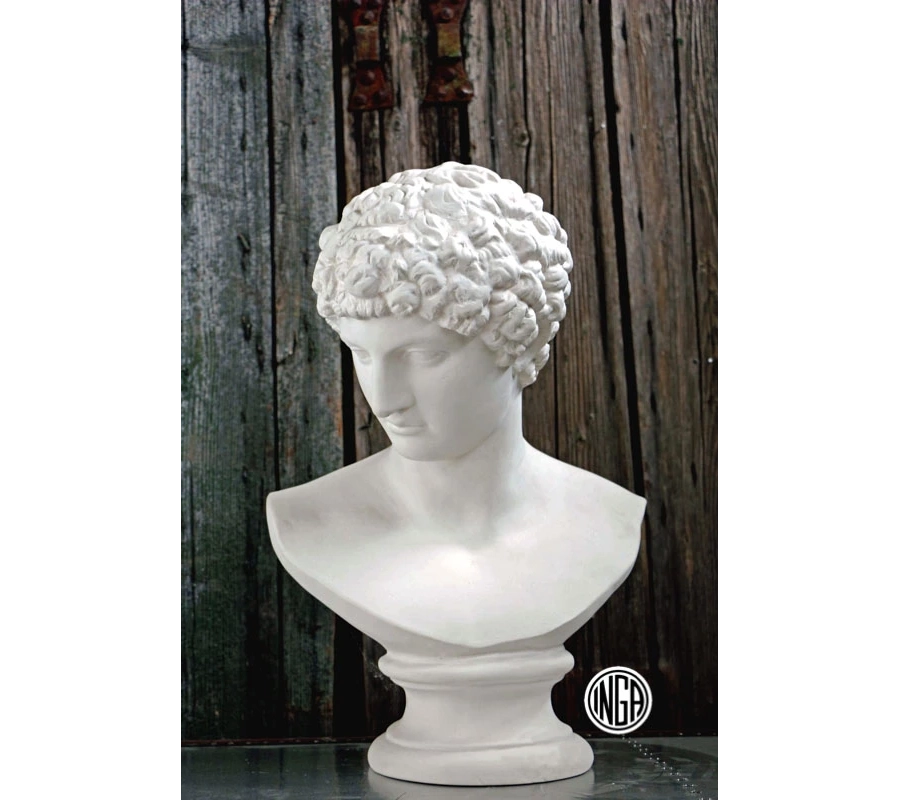 picture 1 Luxurious bust of Antinous