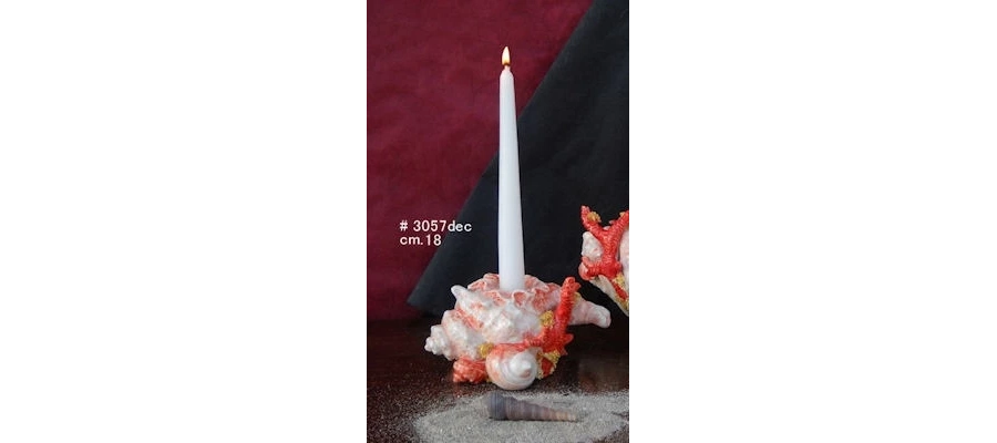 picture 1 Candlestick with sea shells