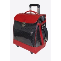 Picture Prestigious leather bag on wheels - Terrida