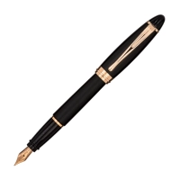 Picture Exclusive matte Ipsilon Satin fountain pen - Aurora