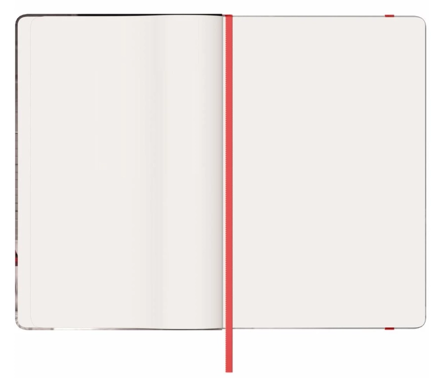 picture 4 A unique notebook for motorists