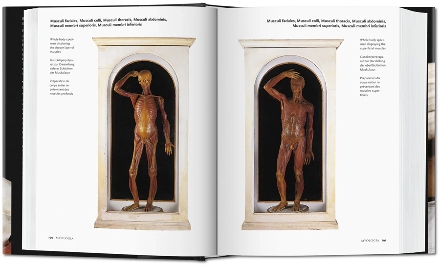obrazek 4 Książka Encyclopaedia Anatomica - Taschen