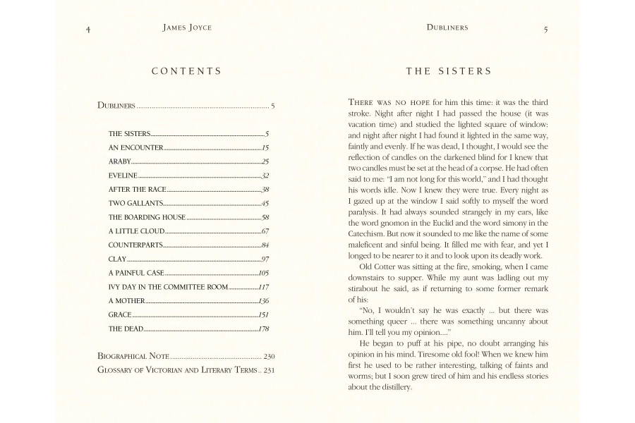 picture 2 Libro de Dubliners - Flame Tree Publishing