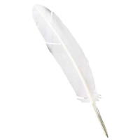 Picture Cosi Tabellini writing pen