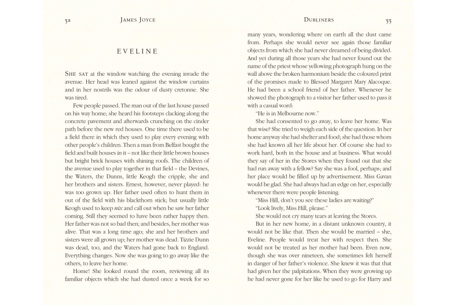 picture 4 Libro de Dubliners - Flame Tree Publishing
