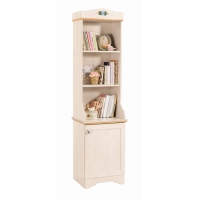 Picture Original shelf for a teenager's room - Cilek