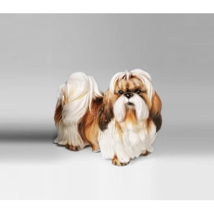 Zdjęcie Shi-Tzu figura - Il Gattopardo
