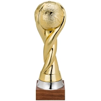 Picture A unique sports trophy - an original cup
