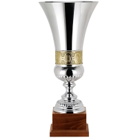 Picture A wonderful silver cup as an award for an athlete