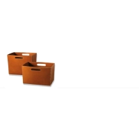 Picture elegance newspaper box