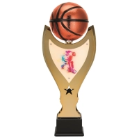 Bild Eine spektakuläre Sporttrophäe für einen Basketballspieler