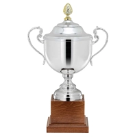 Picture An extraordinary cup - a perfect distinction for an athlete