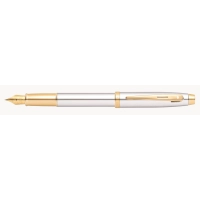 Picture Beautiful fountain pen - great as a gift