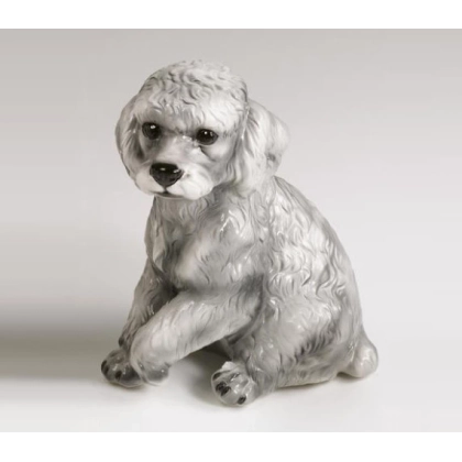 Zdjęcie Pudel figura - Il Gattopardo