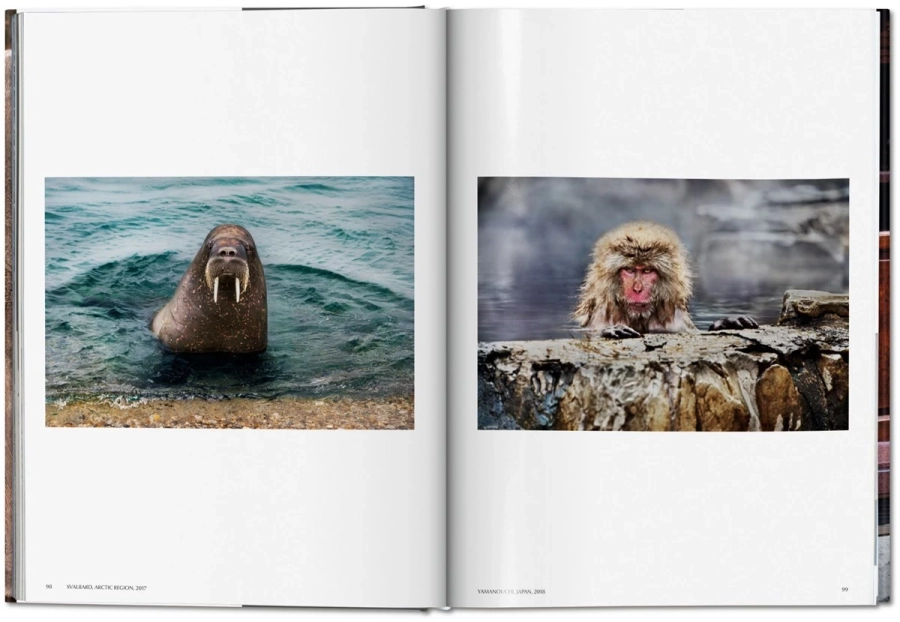 picture 7 Book by Steve McCurry. Animals - Taschen