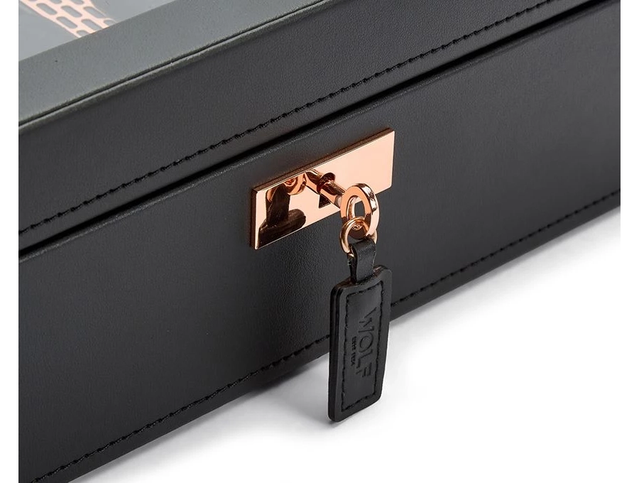 picture 7 Luxurious Axis Copper case for 8 watches