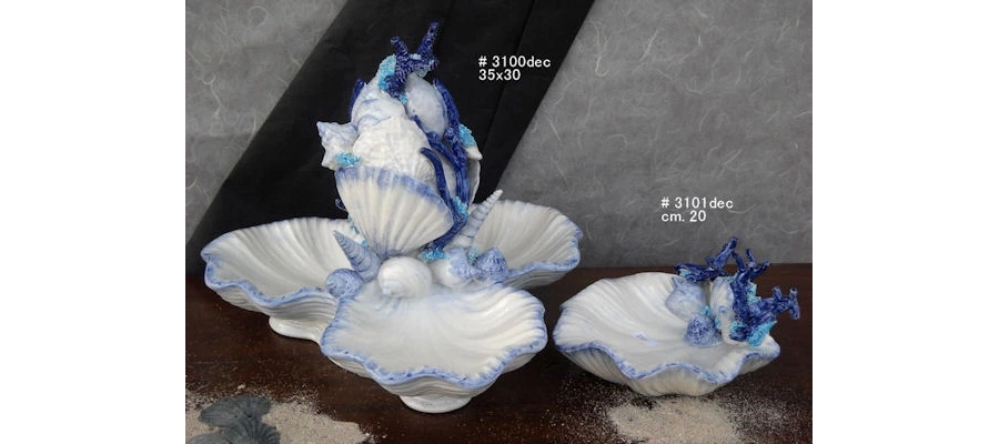 picture 1 Ocean white shells