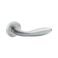 Picture Roma door handle with a round sign