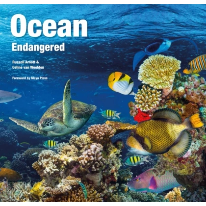 Zdjęcie Książka Ocean - Flame Tree Publishing