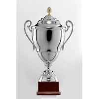 Picture An extraordinary cup - a perfect gift for an athlete