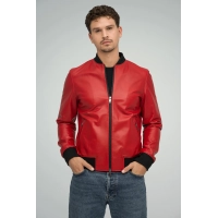 Picture Men's leather jacket in an original shade