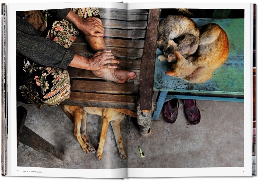 picture 6 Book by Steve McCurry. Animals - Taschen