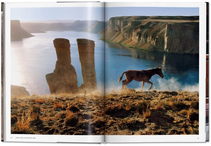 picture 4 Book by Steve McCurry. Animals - Taschen
