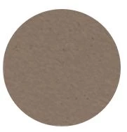 Tortora color
