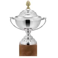 Picture A unique and original silver cup with space for a personalized dedication