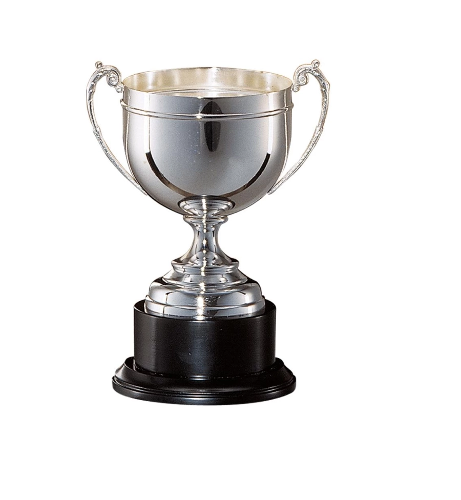 picture 1 A unique cup for various tournaments