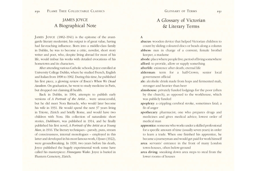 picture 3 Libro de Dubliners - Flame Tree Publishing