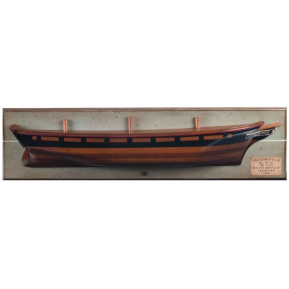 Picture Panel with a model of the ship