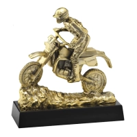 Bild Motocross-Statuette