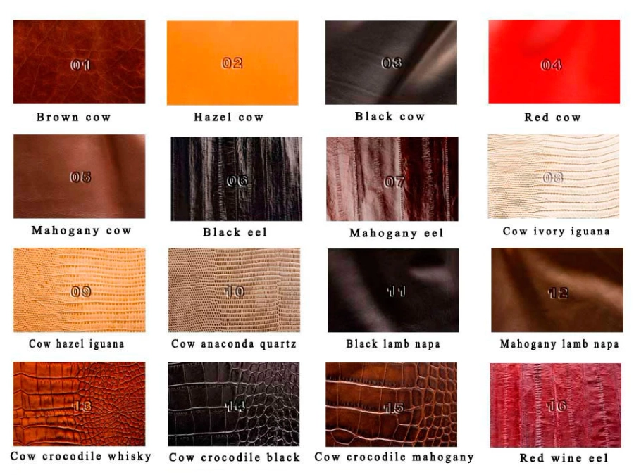 picture 2 A handy backgammon game