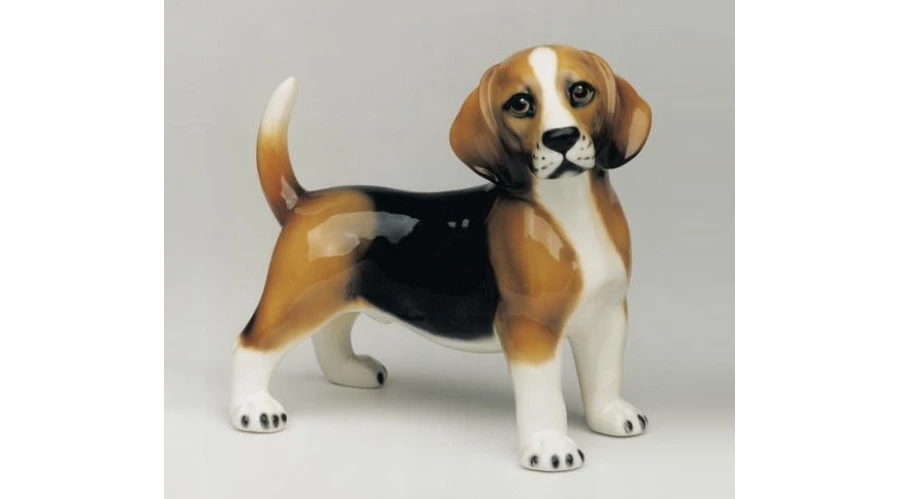 picture 1 Figura Beagle - Il Gattopardo
