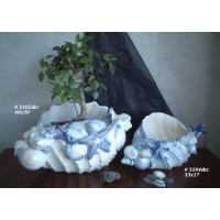Picture Sophisticated flower pots with blue shells