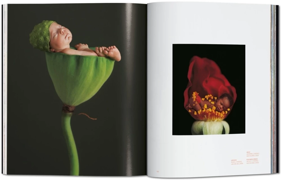 Bild 9 Buch von Anne Geddes. Small World - Taschen